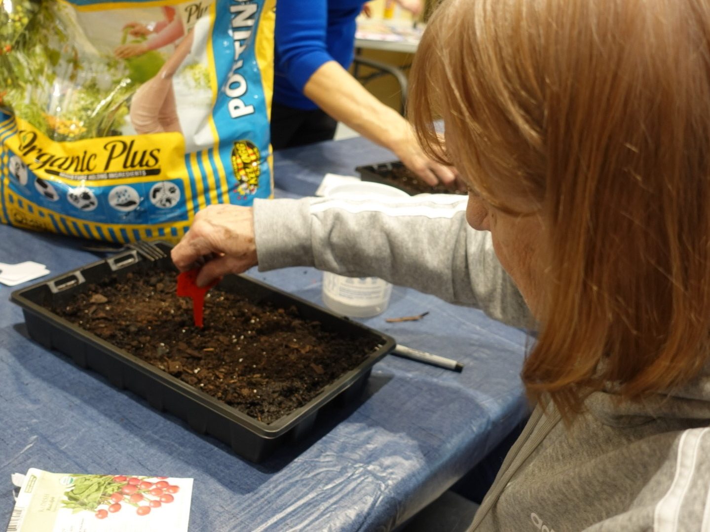 Person planting seeds